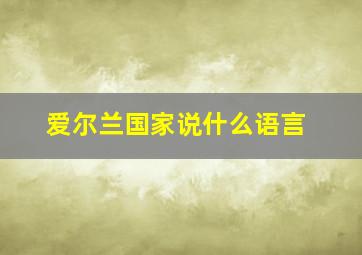 爱尔兰国家说什么语言