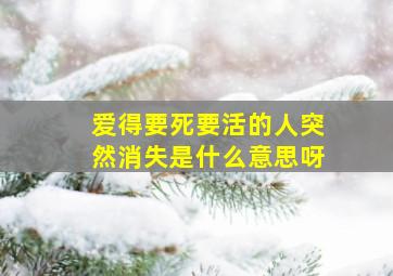 爱得要死要活的人突然消失是什么意思呀