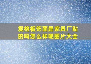 爱格板饰面是家具厂贴的吗怎么样呢图片大全