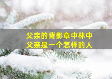 父亲的背影章中林中父亲是一个怎样的人