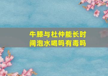 牛膝与杜仲能长时间泡水喝吗有毒吗