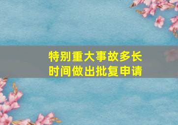 特别重大事故多长时间做出批复申请