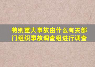 特别重大事故由什么有关部门组织事故调查组进行调查