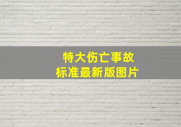 特大伤亡事故标准最新版图片