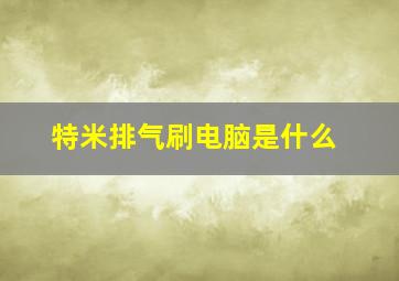 特米排气刷电脑是什么