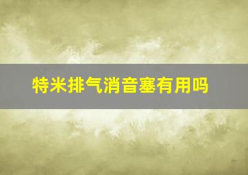 特米排气消音塞有用吗