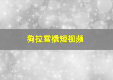 狗拉雪橇短视频