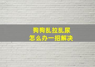 狗狗乱拉乱尿怎么办一招解决