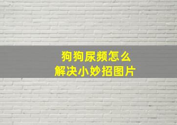 狗狗尿频怎么解决小妙招图片