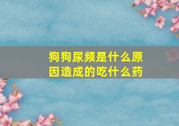 狗狗尿频是什么原因造成的吃什么药