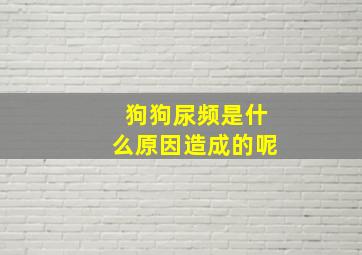 狗狗尿频是什么原因造成的呢