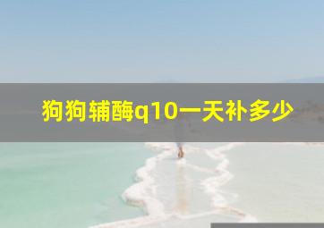 狗狗辅酶q10一天补多少