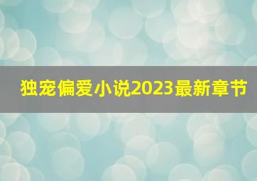 独宠偏爱小说2023最新章节