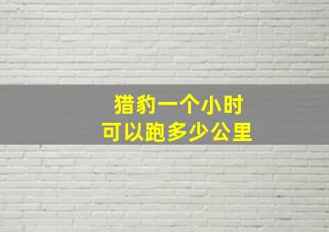 猎豹一个小时可以跑多少公里