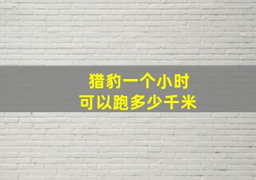 猎豹一个小时可以跑多少千米