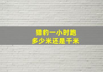 猎豹一小时跑多少米还是千米