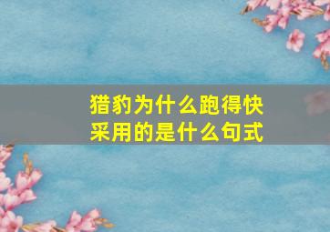 猎豹为什么跑得快采用的是什么句式