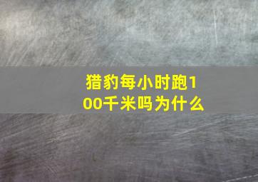 猎豹每小时跑100千米吗为什么