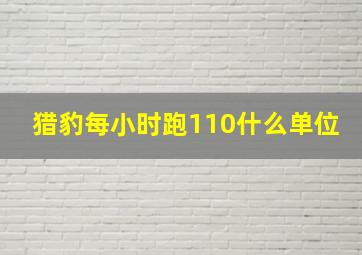 猎豹每小时跑110什么单位