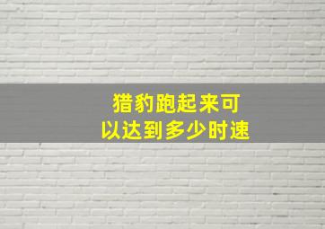 猎豹跑起来可以达到多少时速