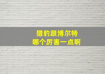 猎豹跟博尔特哪个厉害一点啊