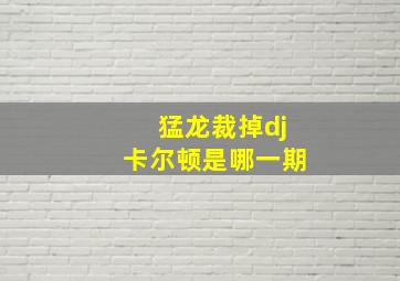 猛龙裁掉dj卡尔顿是哪一期