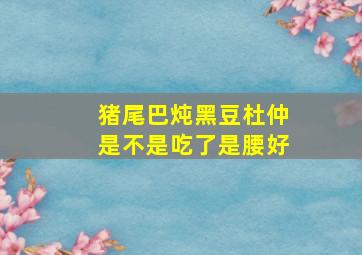 猪尾巴炖黑豆杜仲是不是吃了是腰好