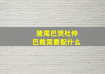 猪尾巴煲杜仲巴戟需要配什么