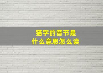 猫字的音节是什么意思怎么读