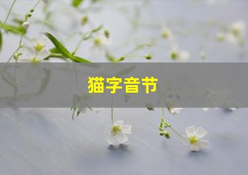 猫字音节