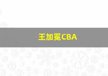 王加冕CBA