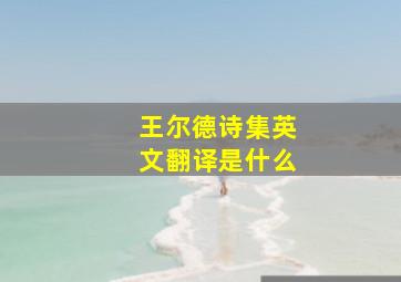 王尔德诗集英文翻译是什么