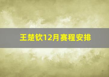 王楚钦12月赛程安排