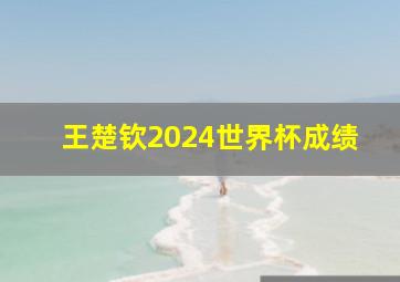 王楚钦2024世界杯成绩