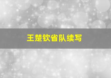 王楚钦省队续写