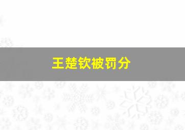 王楚钦被罚分