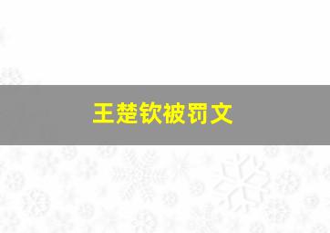 王楚钦被罚文