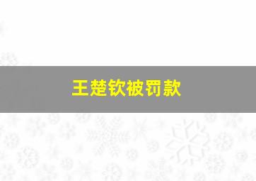 王楚钦被罚款