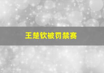 王楚钦被罚禁赛