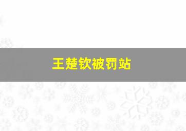 王楚钦被罚站