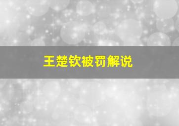 王楚钦被罚解说