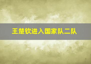 王楚钦进入国家队二队