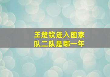 王楚钦进入国家队二队是哪一年