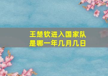 王楚钦进入国家队是哪一年几月几日