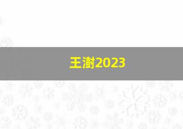 王澍2023