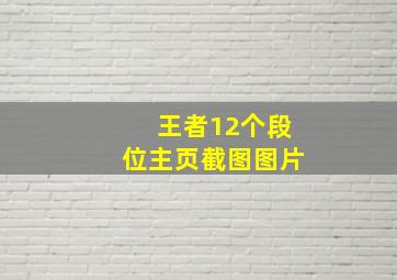 王者12个段位主页截图图片