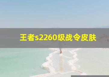 王者s2260级战令皮肤