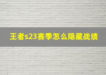 王者s23赛季怎么隐藏战绩