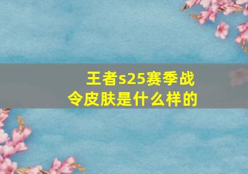 王者s25赛季战令皮肤是什么样的