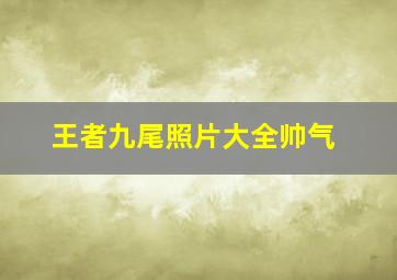 王者九尾照片大全帅气